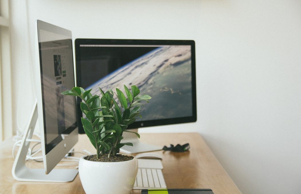 ¿Cómo hacer tu espacio de teletrabajo más saludable?