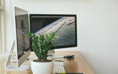 ¿Cómo hacer tu espacio de teletrabajo más saludable?